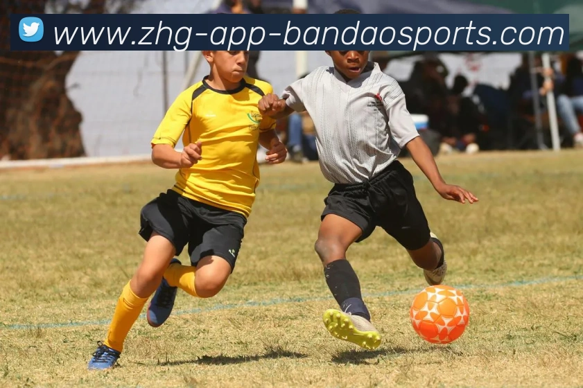 半岛体育平台生态图